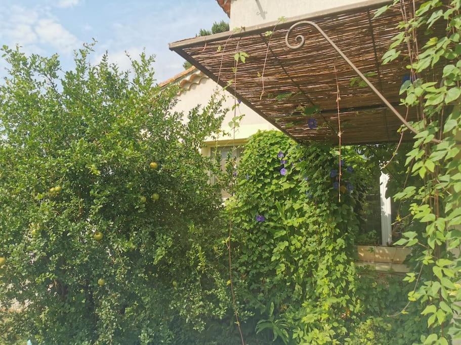 Maison Avec Piscine Dans Village Provencal. Courthézon Exterior foto